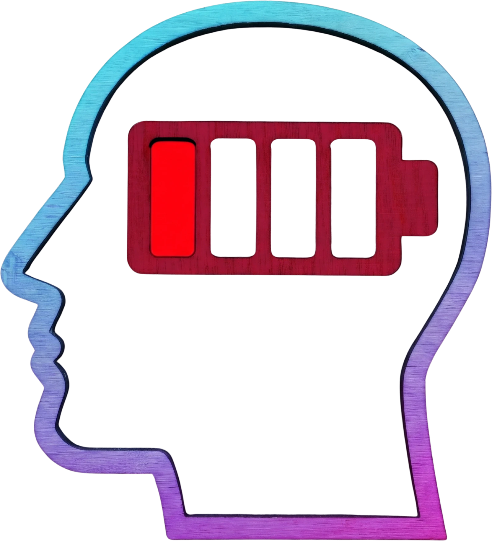 Autores do ebook Sono, Mente e Futuro da Saúde